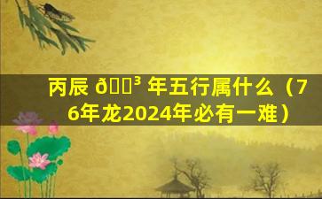 丙辰 🐳 年五行属什么（76年龙2024年必有一难）